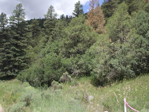 Cabresto Rd, Questa, NM 87556