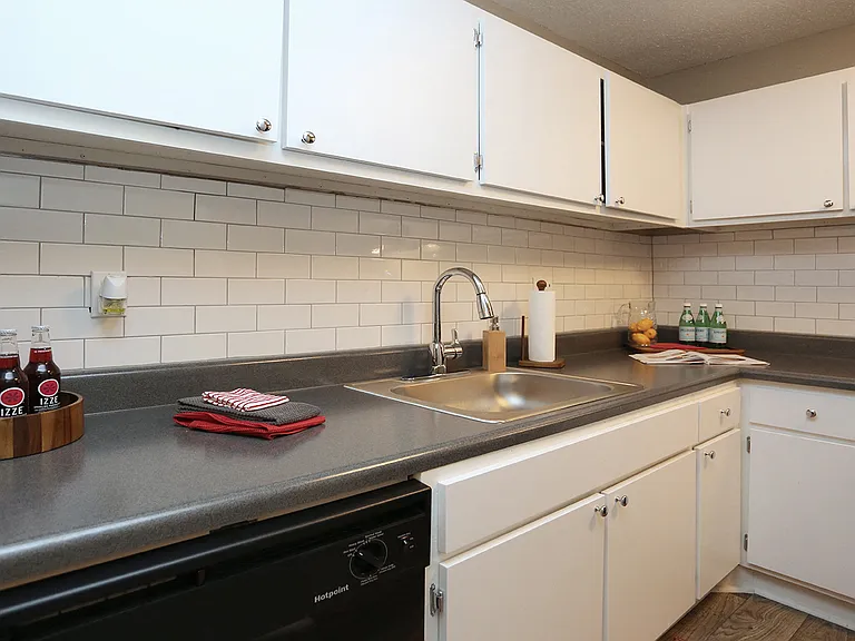 555 Eagles Crest Village Ln — Photo 3
