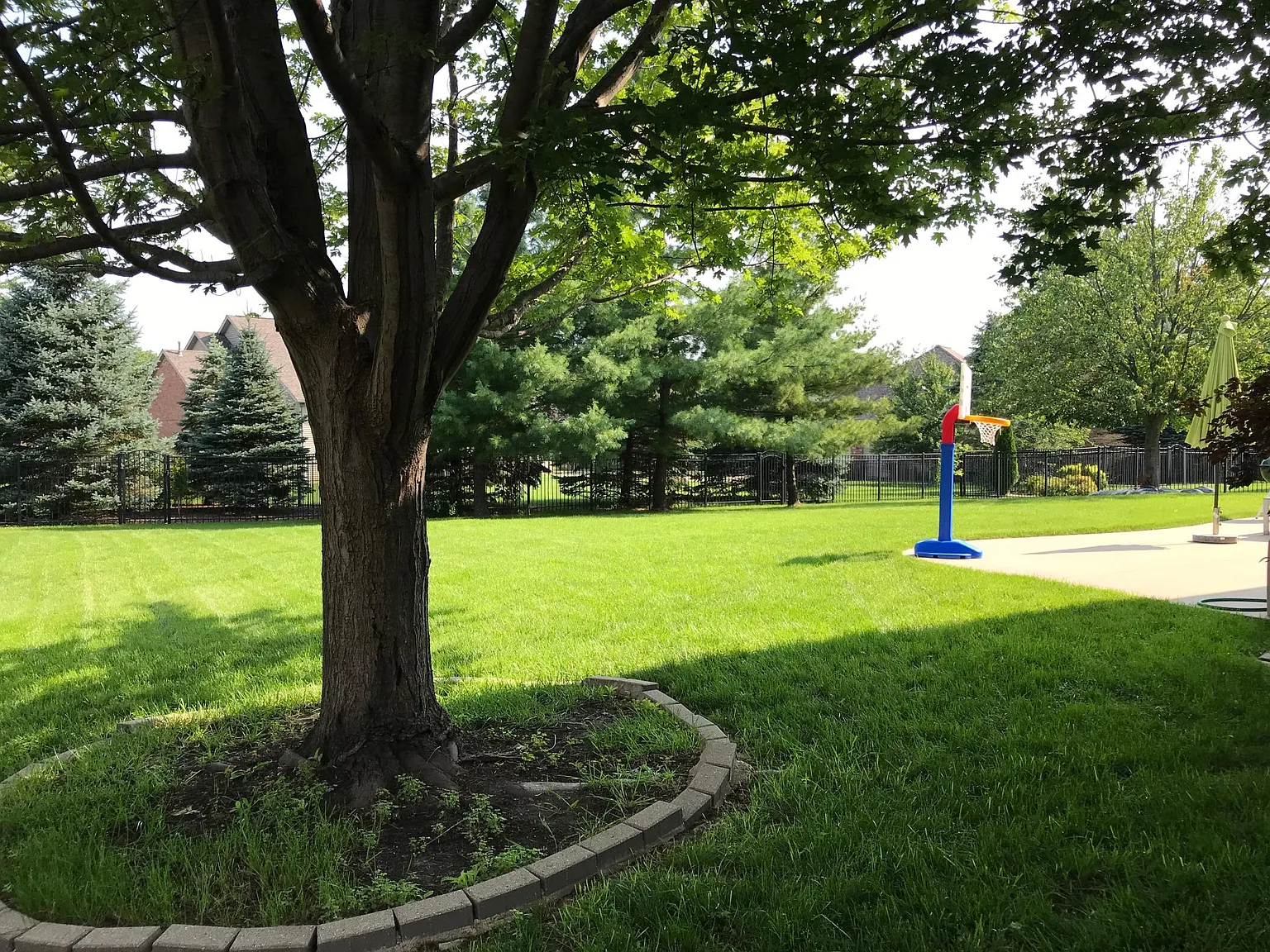 5903 W Forestwood Dr — Photo 3