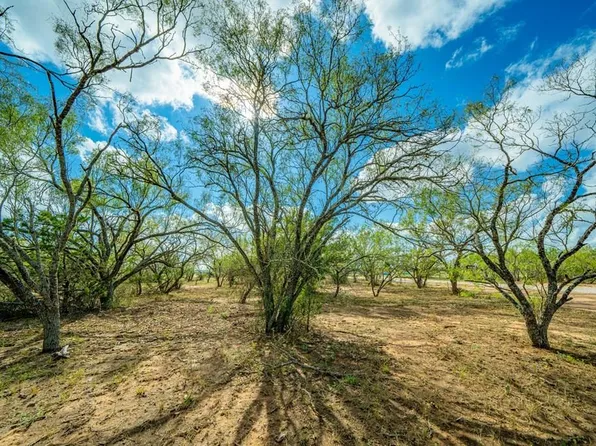 47 Baxter Blvd, Fredericksburg, TX 78624
