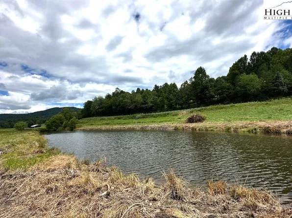 TBD Parsonsville Road, Purlear, NC 28665