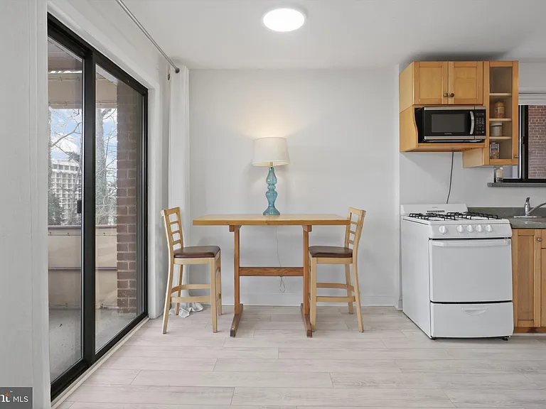 1581 N Colonial Ter #201X — Photo 12