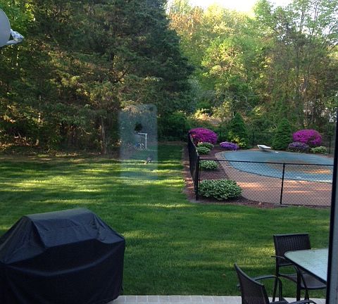 Back yard with inground pool