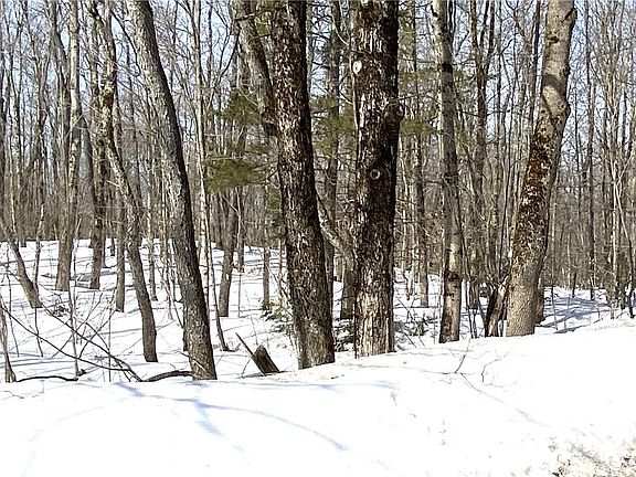 5th image of Town Line Rd Lot 44