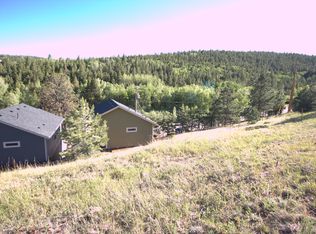 541 Eureka St, Central City, CO 80427