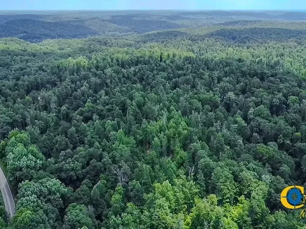 Buckfork Rd, Linden, TN 37096