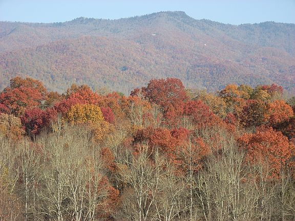 Fall View from Front Deck
