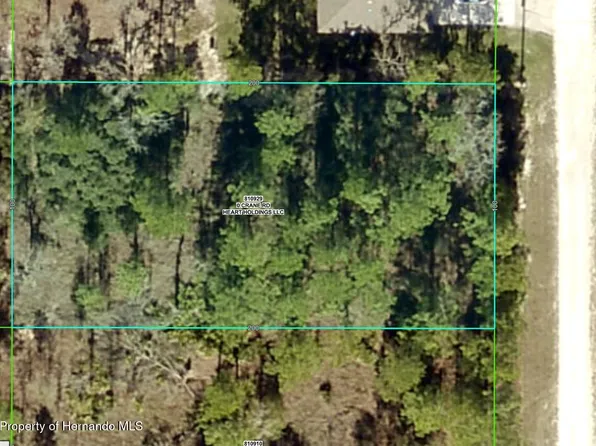 16379 Crane Rd, Brooksville, FL 34614