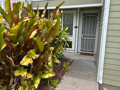 75-6009 Alii Dr Photo 1