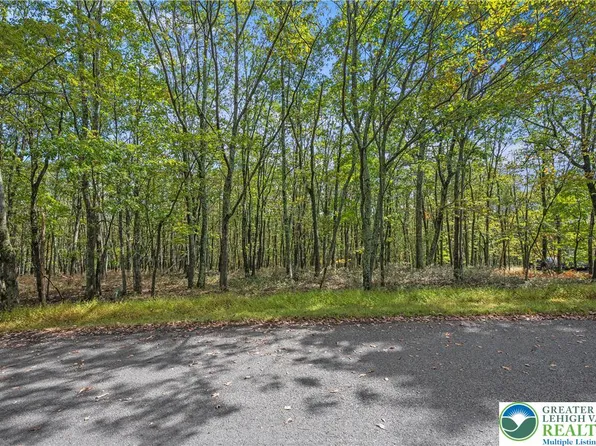 0 Stone Ridge Rd, Albrightsville, PA 18210