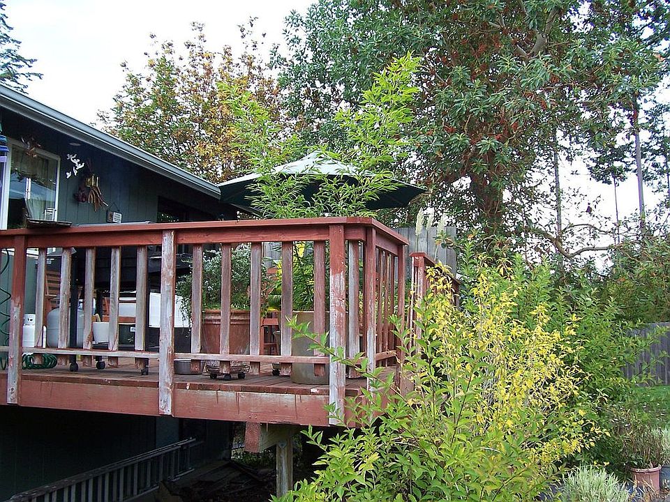 back deck