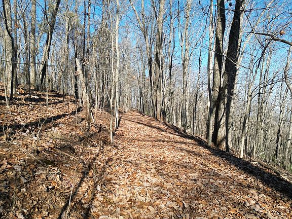 4th image of 2005 Treehouse Trl Lot 5-23