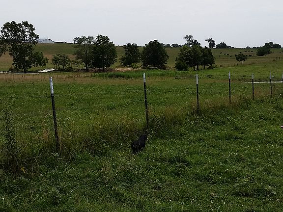 new fence div.pasture