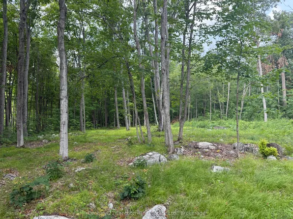554 Pigden Rd #Severed B, Madoc, ON K0K 2K0