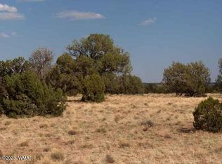 6103 River Run Dr, Heber, AZ 85928