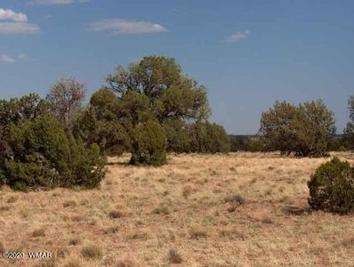 6103 River Run Dr, Heber, AZ, 85928