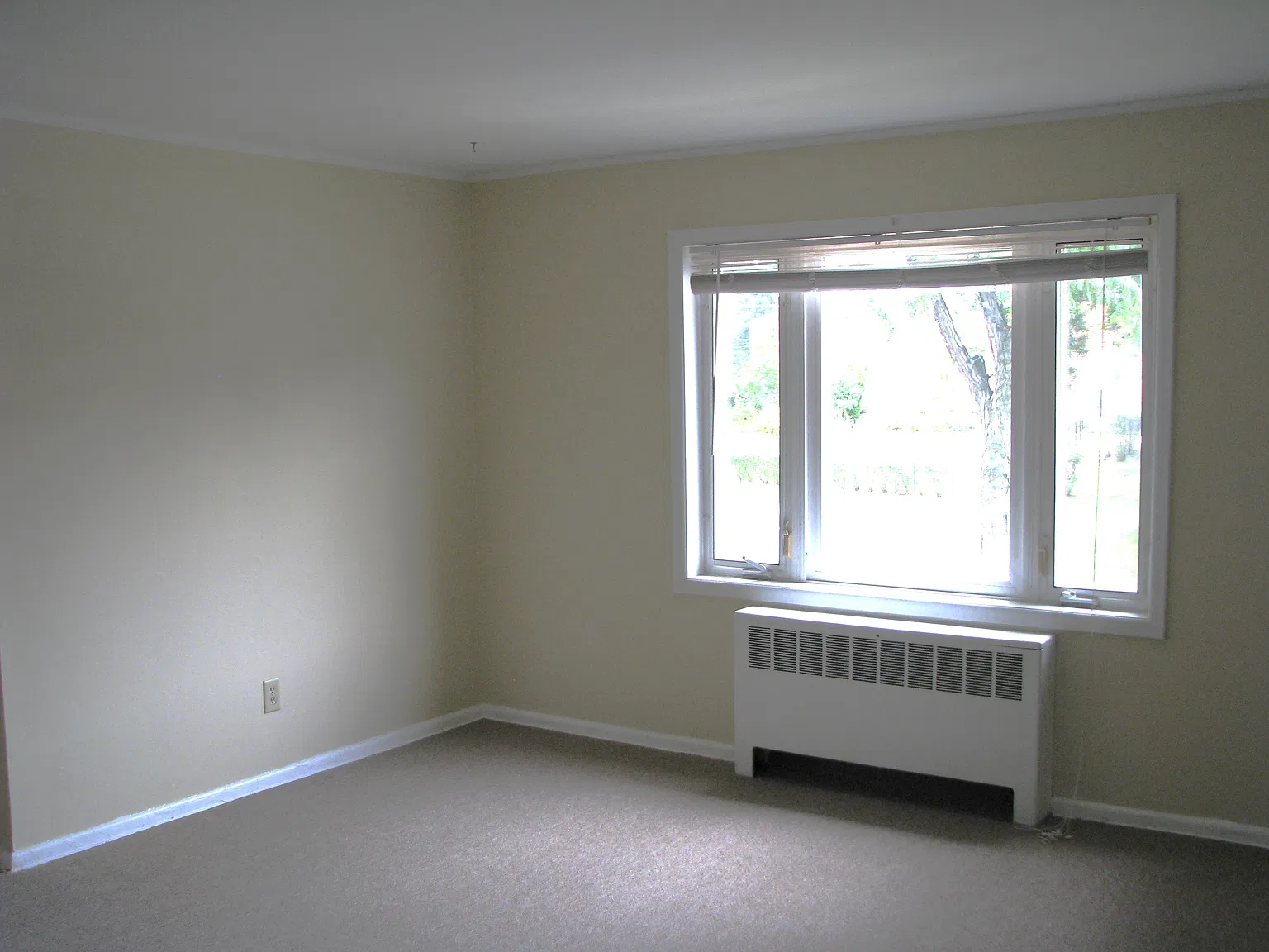 1 bed, 600 sqft, $1,320 — Photo 2