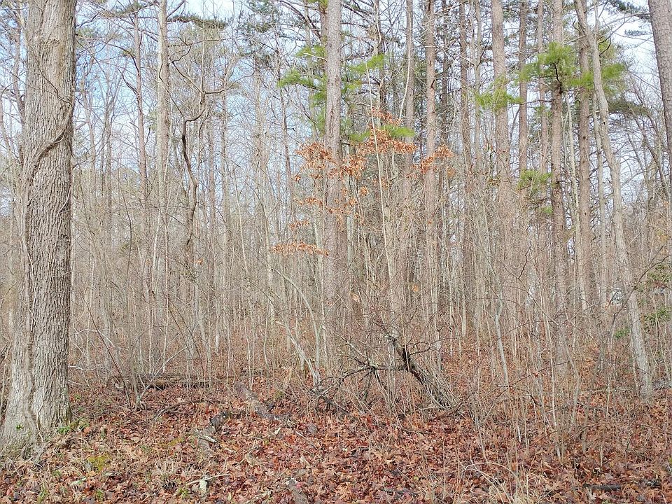 2nd image of Concord Rd