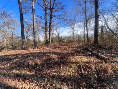 0 S Ehrich Ave, Bridgeport, AL, 35740