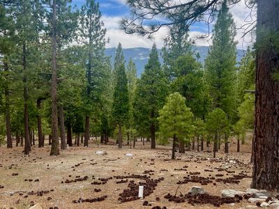 2999 Kristen Way, Clio, CA, 96106