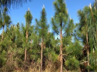 37545 Boston Rd, Dozier, AL 36028