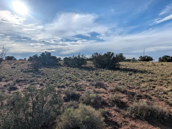 Lot 17 Green Valley Farms -- #17, St Johns, AZ 85936