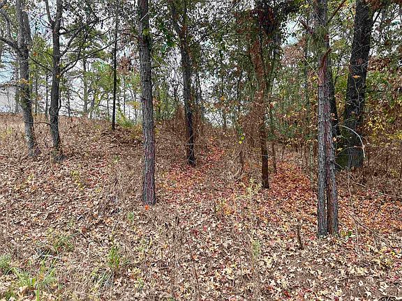 5th image of 18854 Hilltop Dr