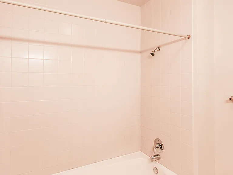 170 W Polk St #802 — Photo 12
