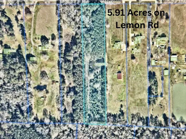 Lemon Rd, Slaughter, LA 70777