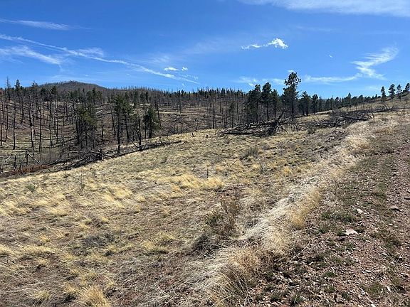 4th image of LOT 184 Forbes Rd
