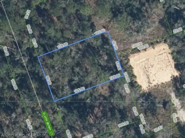 9408 Elder Berry Ct, Sebring, FL 33875