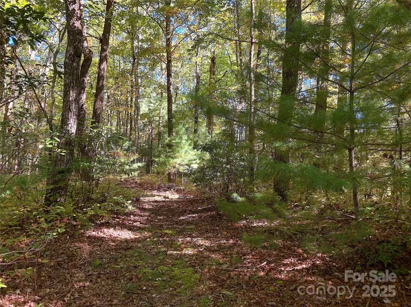 0 Middleton Ct, Brevard, NC 28712