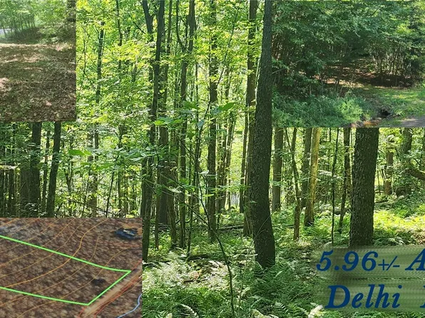 31 Fleming Rd #8, Delhi, NY 13753