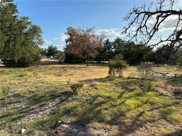 441 Leaning Oak Ln, Somerville, TX 77879