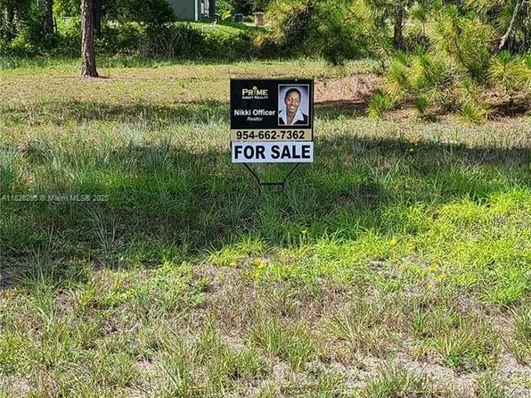 653 Jaguar Blvd, Lehigh Acres, FL 33974