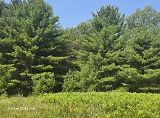 10652 W River Rd, Irons, MI 49644