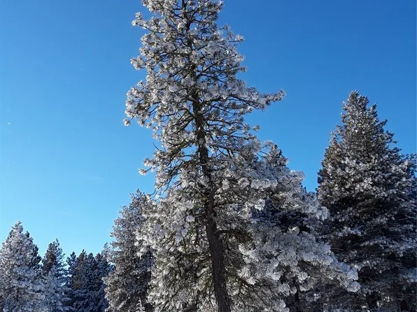 0 Muledeer Road, East Wenatchee, WA 98802