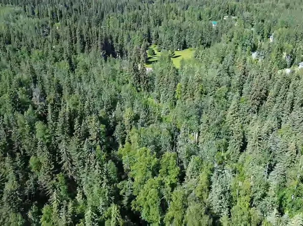 LOT 7 Bobbet Ave, North Pole, AK 99705