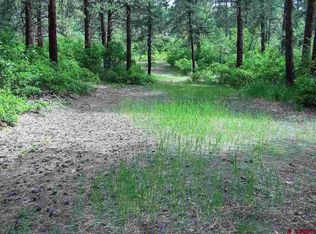 189 Squirrel Dr, Bayfield, CO 81122