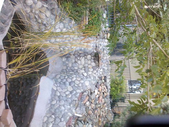 Back pond with waterfall
