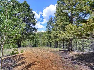 656 Vivenda Rd, Cripple Creek, CO 80813