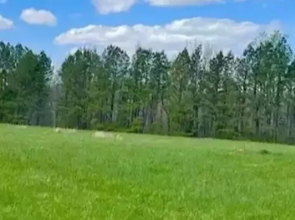 844 County Road 503, Hanceville, AL 35077