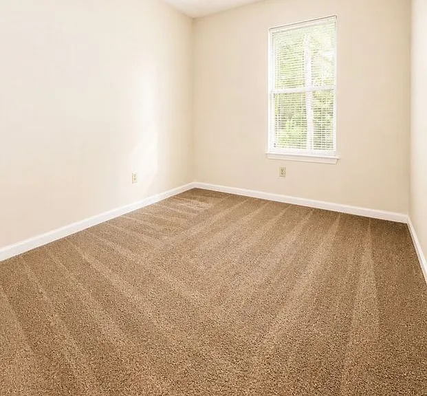 823 Tramore Dr — Photo 19