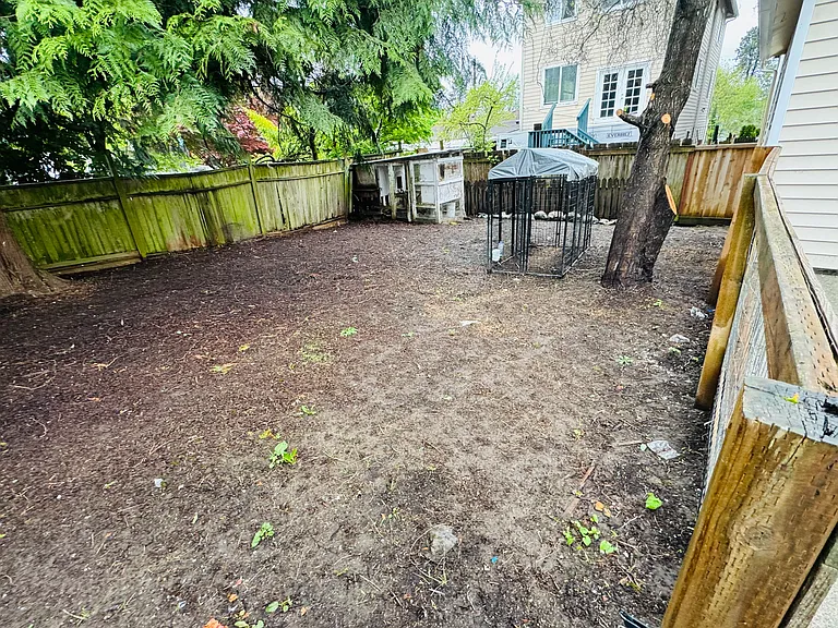 Large backyard