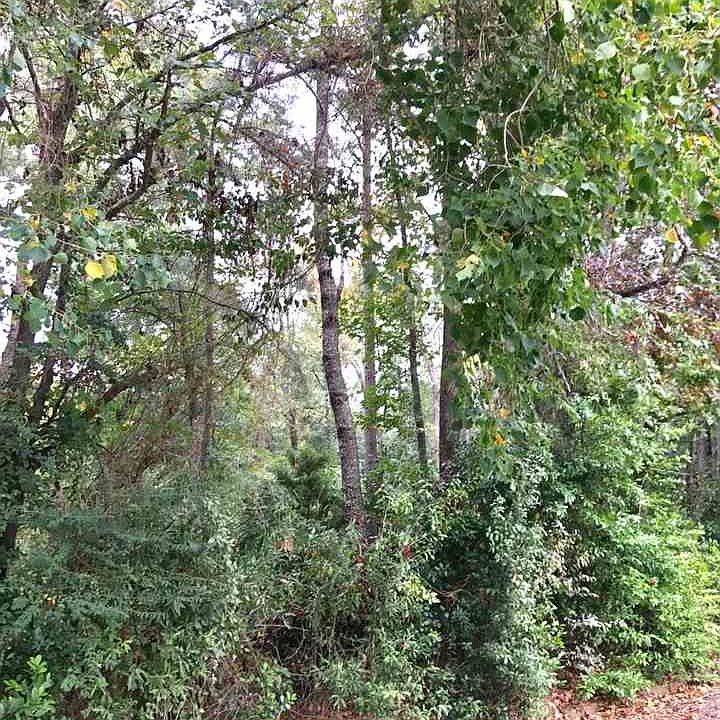 1st image of 1 Pine Burr Cir