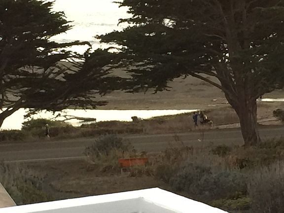 View from living room deck