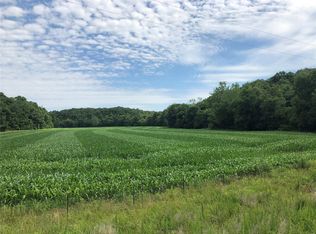 395 Quarry Rd, Silex, MO 63377