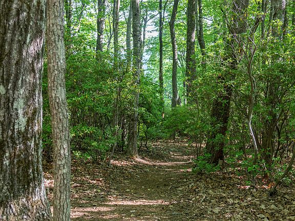2nd image of TMI 33 Toxaway Drive