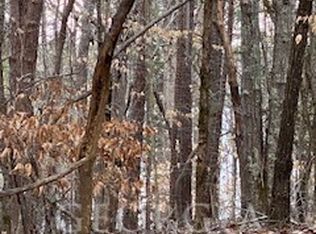 0 Bluff Rd, Elberton, GA 30635