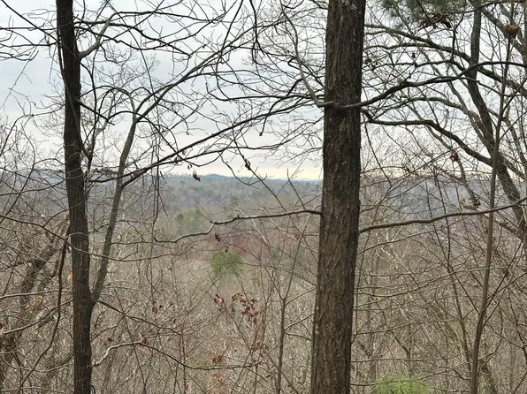 306 Oberlin Ct, Ranger, GA 30734